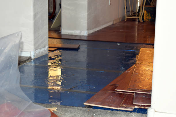 Professional Sewage Cleanup technician working in Plano, IL